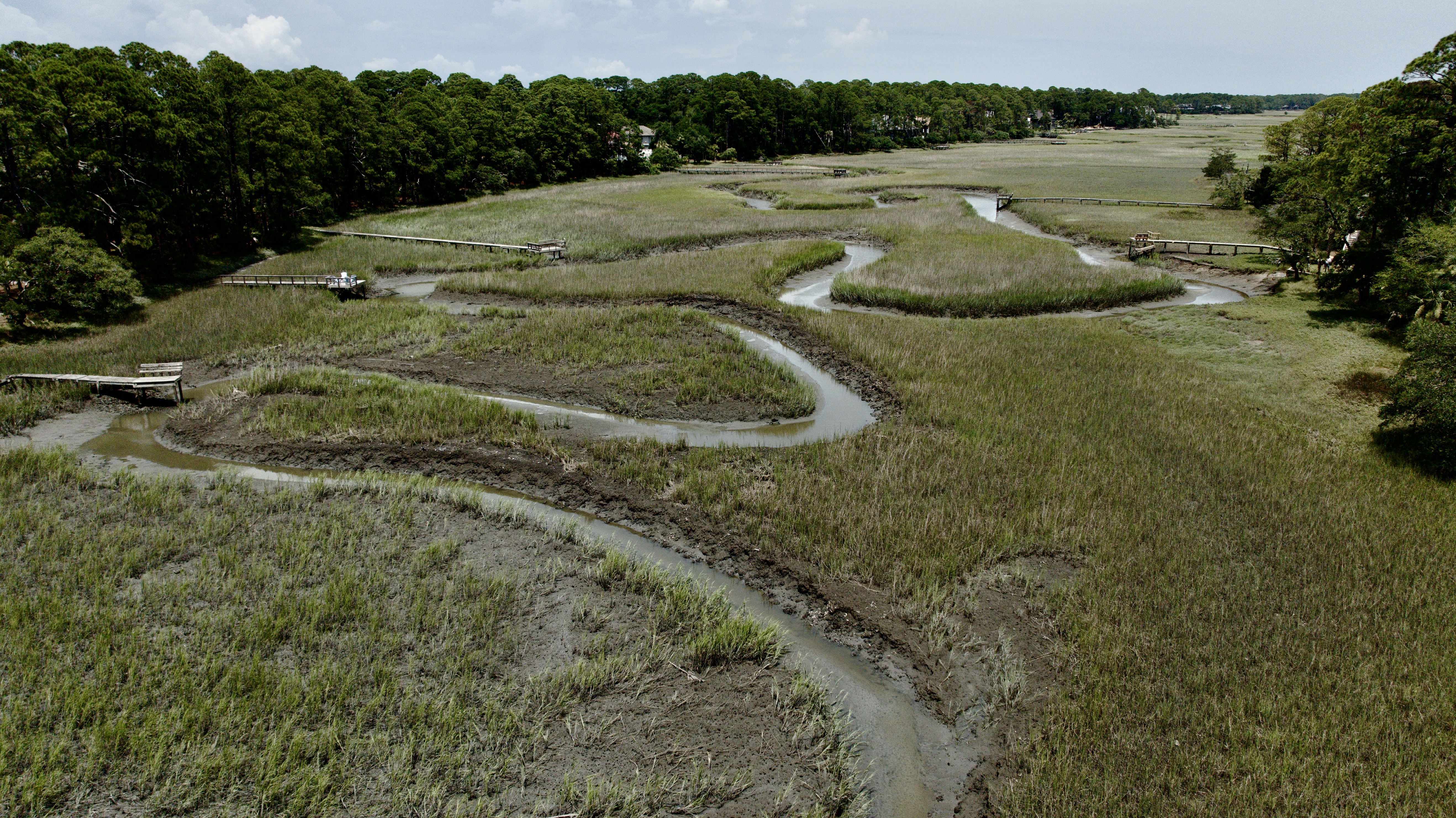 Syble Marsh Community Education: Living on the Marsh at Seabrook Island